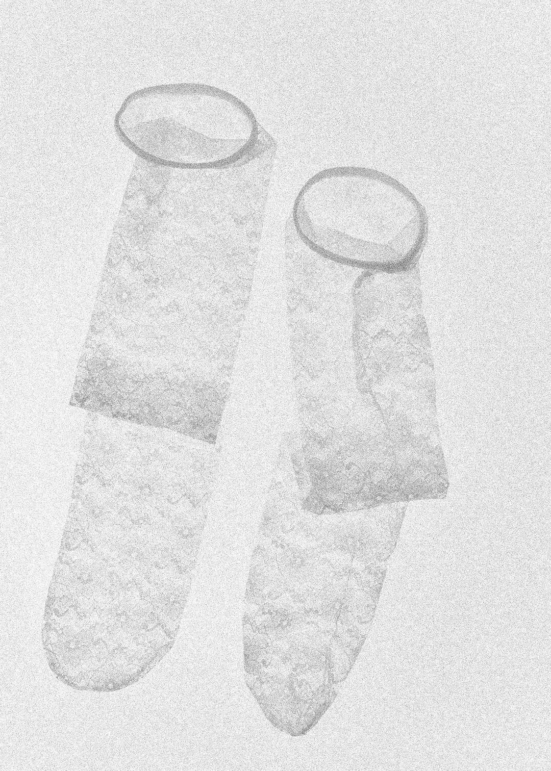 Race Socks (White)